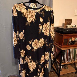 EUC Plus size Casual Fall/Winter Dress